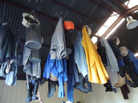 DSCN7667.JPG, sept. 2021 DSCN7667.JPG